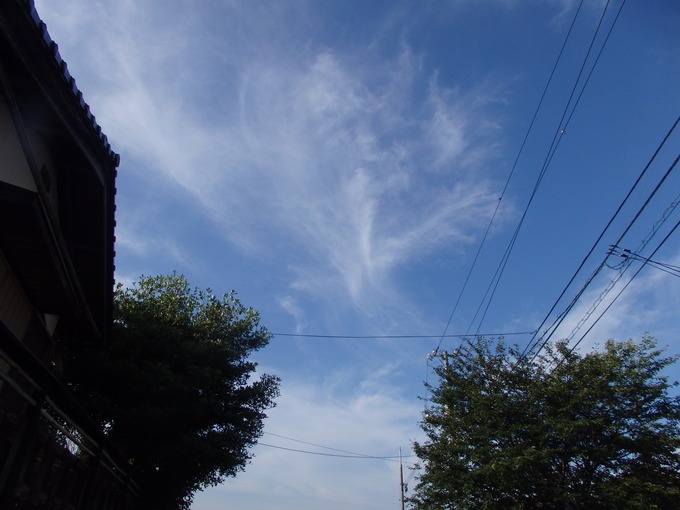 a0054240_211252.jpg