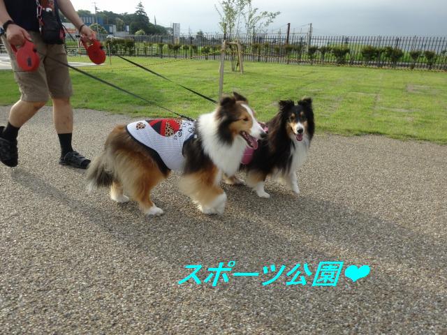 結局、球技が好き♪_e0195743_12424859.jpg