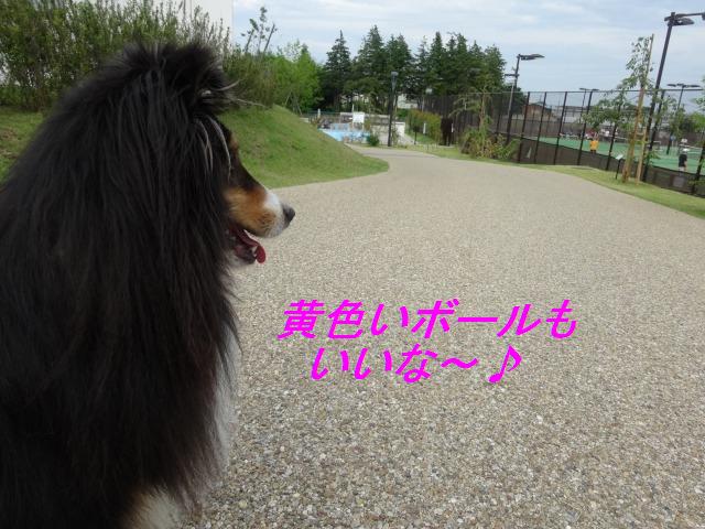 結局、球技が好き♪_e0195743_1245139.jpg
