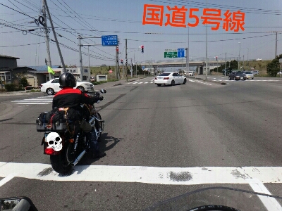 a0315448_78254.jpg