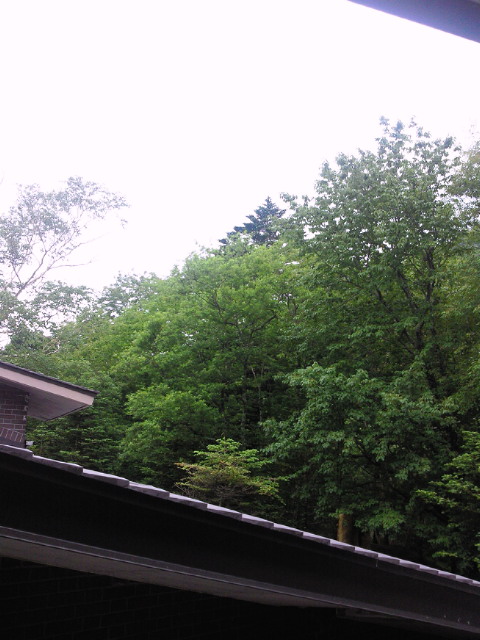 c0039153_22253.jpg