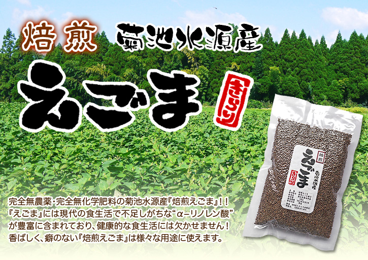 菊池水源産『焙煎えごま粒』好評発売中!平成27年エゴマ生産スタート!!_a0254656_17371311.jpg
