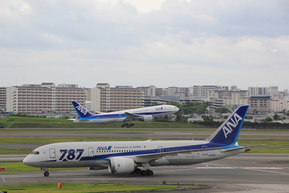 ANA　B787-8　大先輩と後輩_d0202264_10471112.jpg