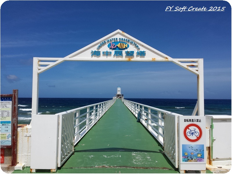 ◆ 5年連続の沖縄、その3 「ブセナ海中公園」へ （2015年6月）_d0316868_22103394.jpg
