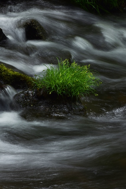 f0342371_16075.jpg