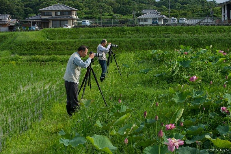 焼けない日もある_c0350572_15475199.jpg