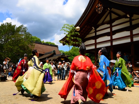 趣味の写真・・・藤森神社　　京都市_b0105374_12124014.jpg