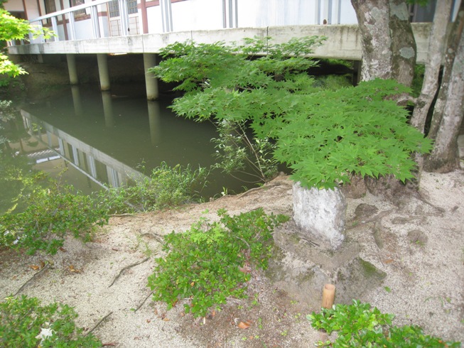 山田村の散策振り返り⑯~好国寺④_a0087378_171410100.jpg
