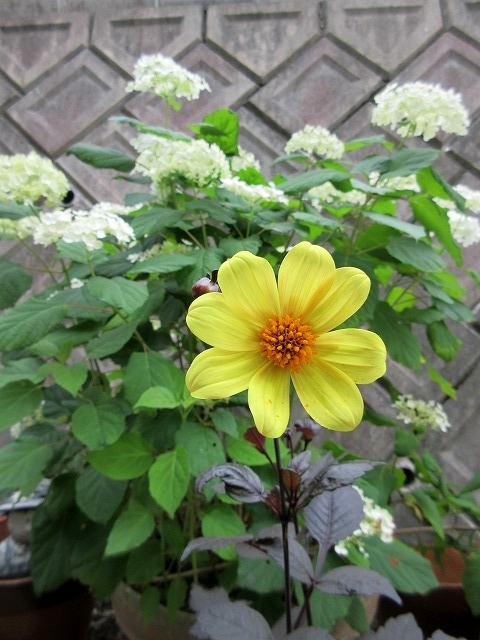 b0182884_22134229.jpg