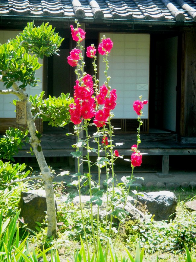 c0193187_19495515.jpg