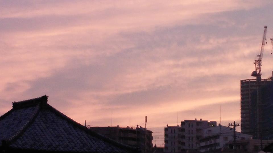 多毛をばっさり。。。。_b0210688_1455228.jpg