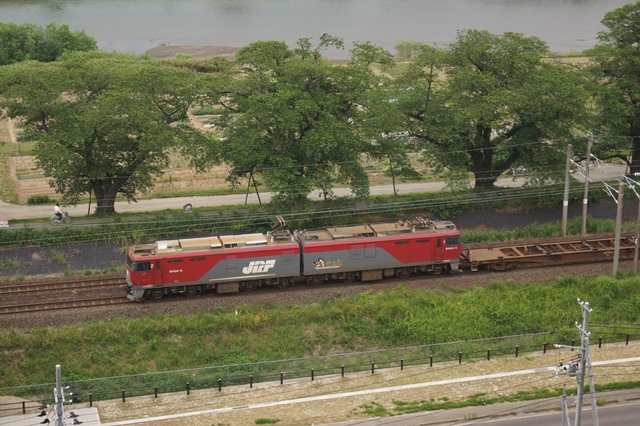 d0181492_571545.jpg