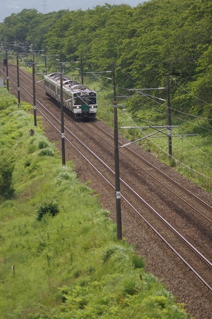 藤田八束の船岡城址探訪:船岡城址公園の花たちそして貨物列車「金太郎」_d0181492_9121479.jpg