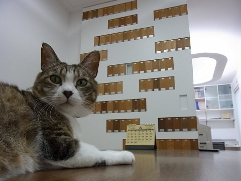 ハッピーのお仕事_b0186200_22095840.jpg