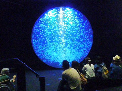 b0074601_22311995.jpg