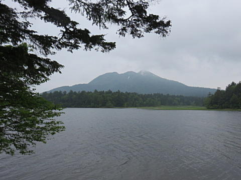 d0046702_7192395.jpg