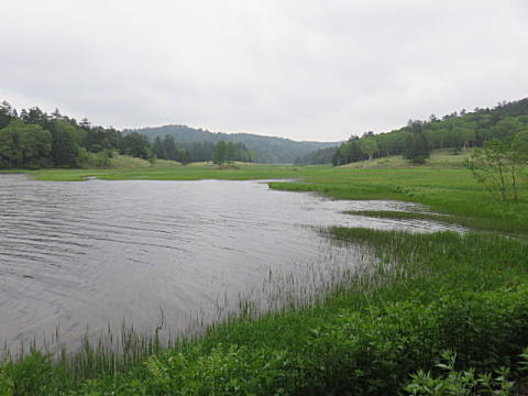 d0046702_7193378.jpg