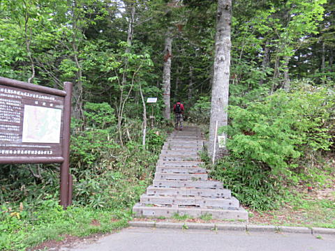 d0046702_791055.jpg
