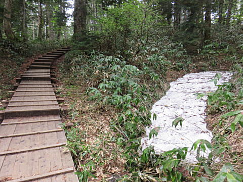 d0046702_793967.jpg