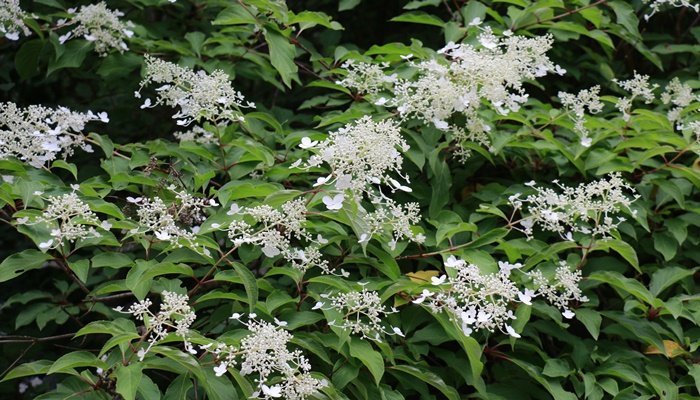 a0123003_23454287.jpg