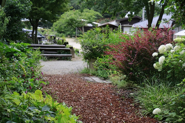 a0123003_8523257.jpg