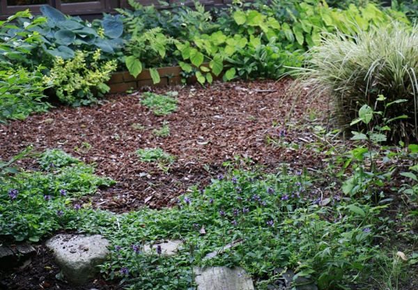 a0123003_8525449.jpg