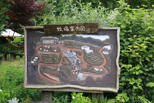 a0123003_9202190.jpg