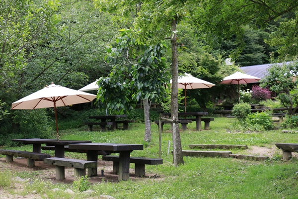 a0123003_928135.jpg