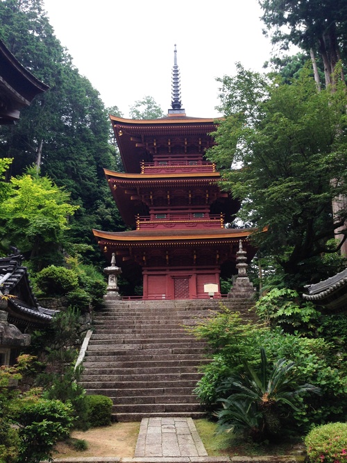 ☆近江八幡で山登り（その2）_a0167204_17194084.jpg