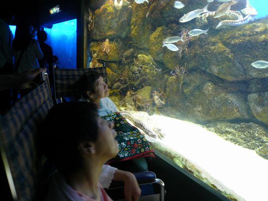 6/26 鳥羽水族館_a0154110_10193430.jpg
