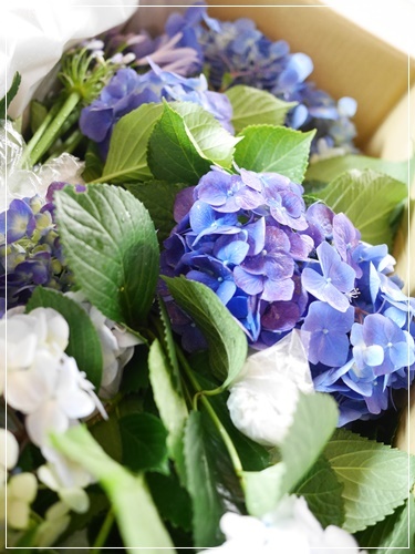 雨の日パーテイ開催中　~White & Blueのコーデイネート、お花は伊豆からのお届け物~_b0289710_05335428.jpg