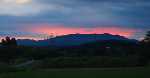 d0048812_2026021.jpg