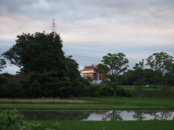 d0048812_20291086.jpg