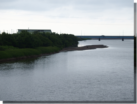 a0114514_20135079.png
