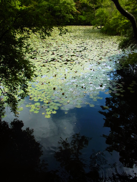 e0083517_01533179.jpg
