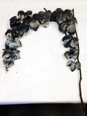 「彩光舎美術研究所同 窓会展 PART7 油絵科」のお知らせ_b0262124_6335075.jpg