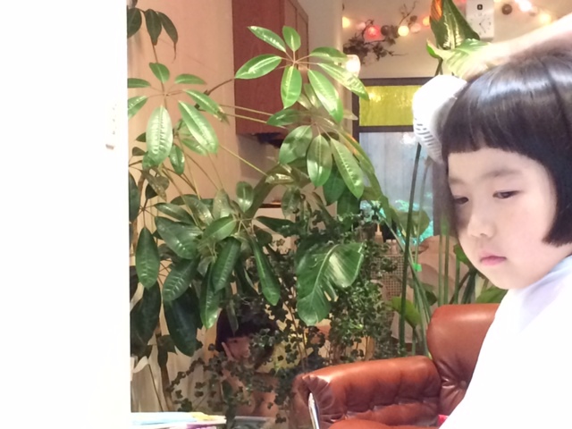 ヘルメットな髪型 笑 花雑貨店 Breath Garden Kiko S Diary