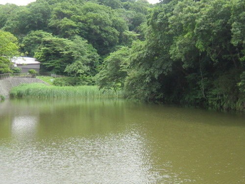 ♪梅雨の中の家族サービス＆愛しき物たち♡_d0162225_2325129.jpg