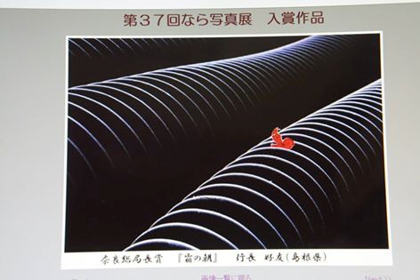 c0124528_10145788.png