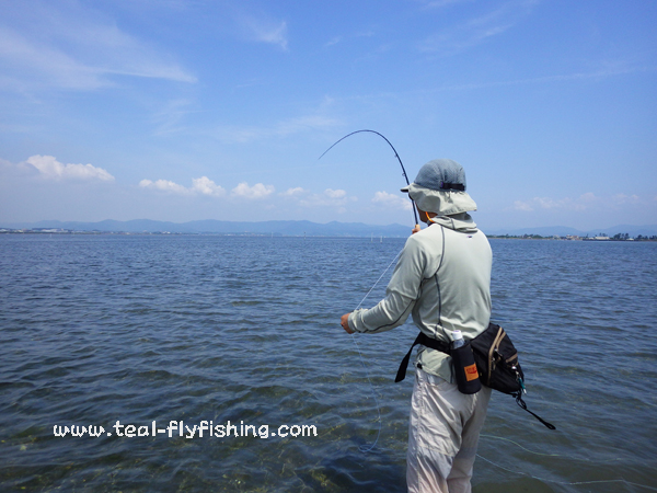 (今年一発目の浜名湖ガイドから絶好調でした)_f0055244_22181773.jpg