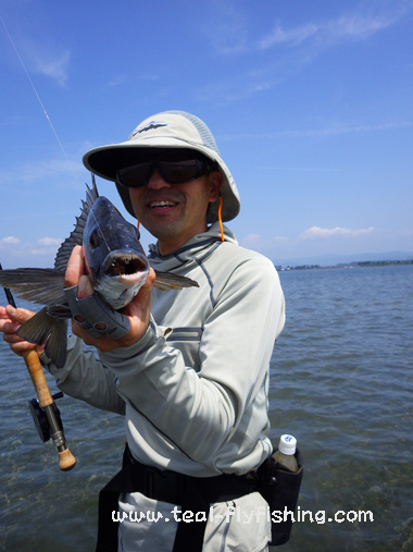 (今年一発目の浜名湖ガイドから絶好調でした)_f0055244_2218339.jpg