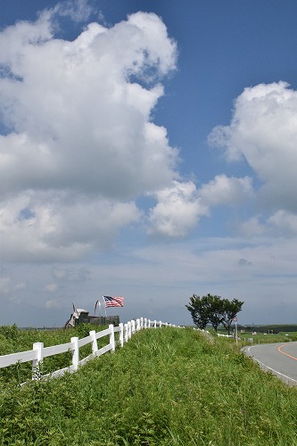 f0343750_11461012.jpg