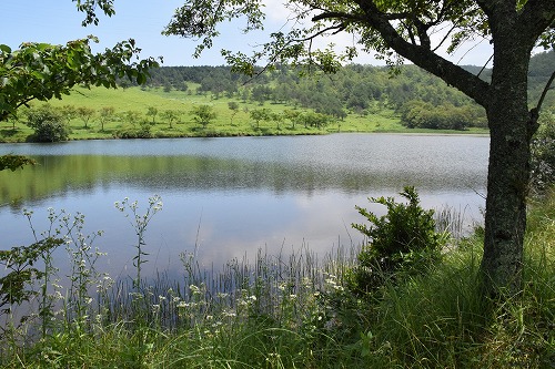 f0343750_11503739.jpg