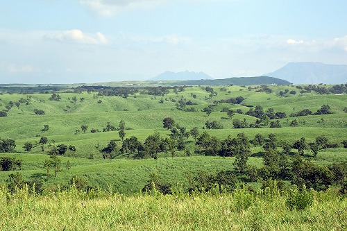 f0343750_11563020.jpg
