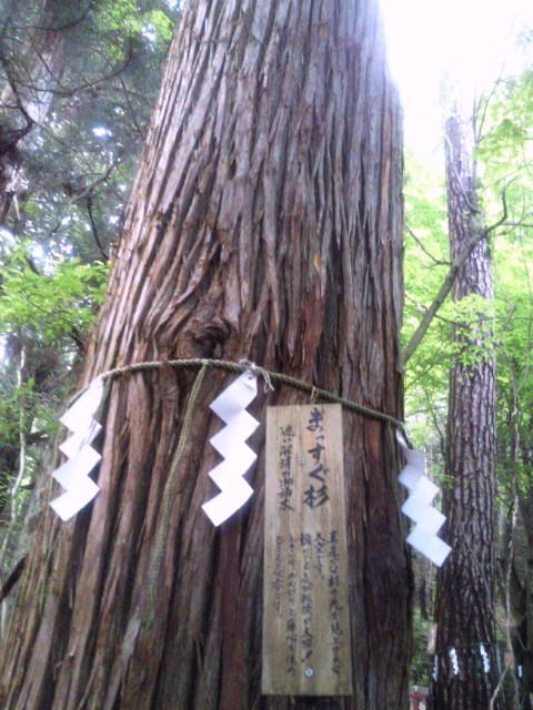 c0039153_41374.jpg