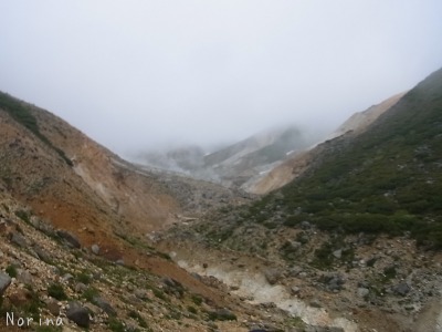 富良野岳 25/06/’15_e0326953_22392791.jpg