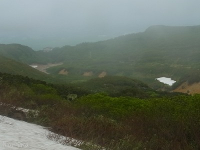 富良野岳 25/06/’15_e0326953_22452687.jpg