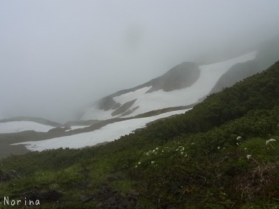 富良野岳 25/06/’15_e0326953_23232284.jpg