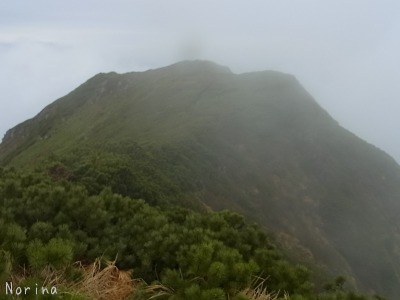 富良野岳 25/06/’15_e0326953_2323423.jpg