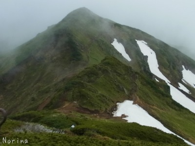 富良野岳 25/06/’15_e0326953_23342310.jpg
